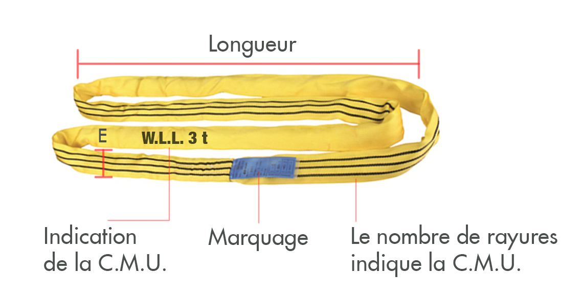 elingue2schema.jpg